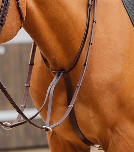 Premier equine fuscaldo - premier,