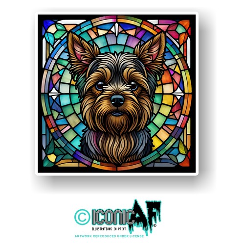 Large yorkshire terrier - yorkshire,