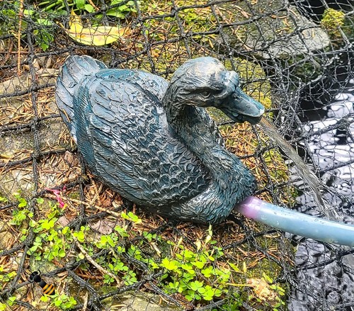 Garden pond spitter - garden,