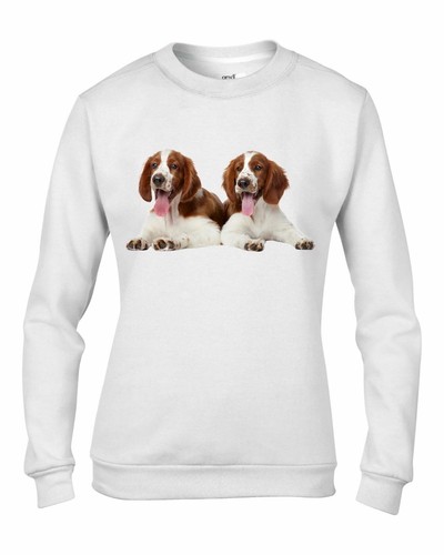 Welsh springer spaniel - welsh, puppies