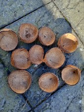 10 Irregular Shaped Coconut