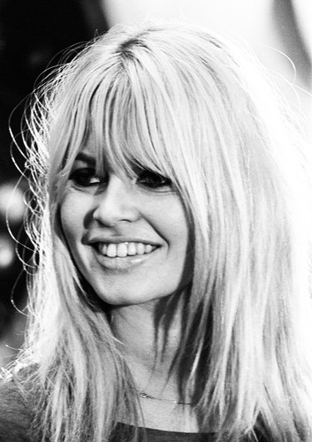 Brigitte bardot monochrome - brigitte,