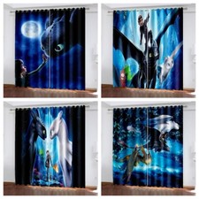 Kids How to Train Your Dragon