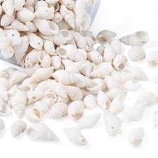 300pcs Trumpet Shell Beads Spiral Shell Seashell Dyed White 19~21mm