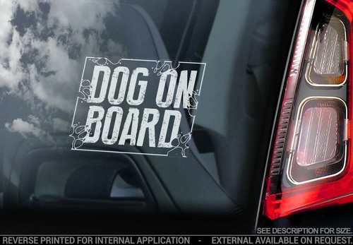 Dog board car - dog, window