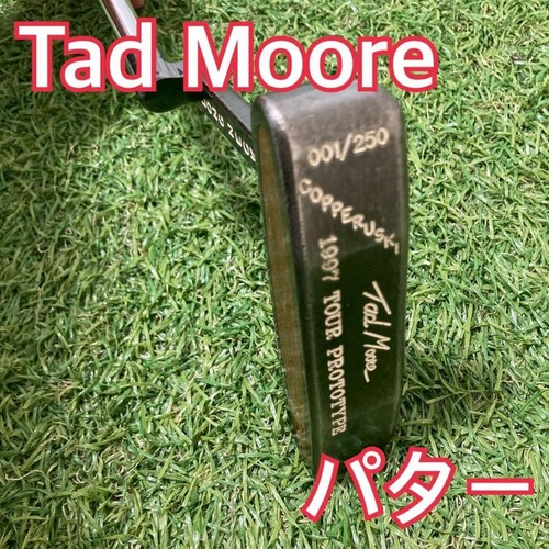 Tad moore tour prototype 001 - moore,