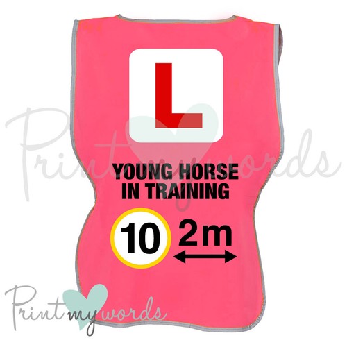 Vis equestrian reflective - hi,