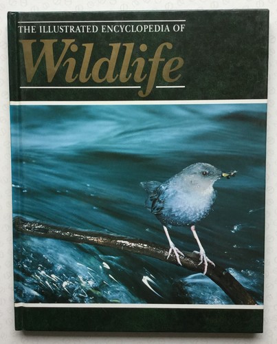 The illustrated encyclopedia - illustrated,