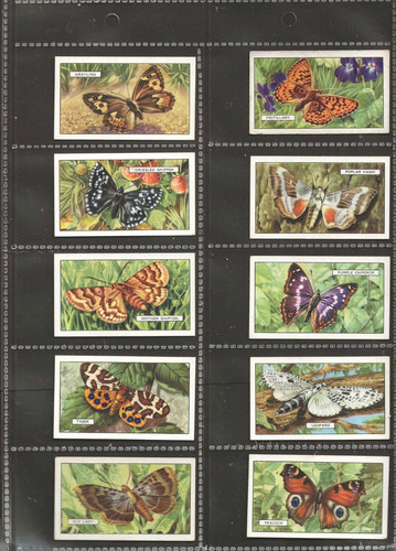 Gallaher butterflies moths - gallaher,