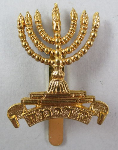 Military cap badge 38th 39th - military,