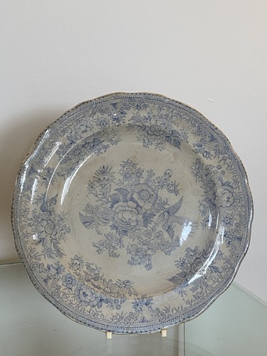 Asiatic pheasant plate - pheasant,