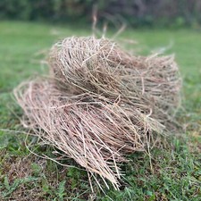 Hedgehog Nesting Straw House Nest Material Wildlife Garden Habitat