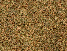 AQUARIUM CHERRY, CRYSTAL RED SHRIMP SNAIL FOOD BLUE TIGER SHRIMP FOOD, SPIRULINA