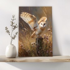 Barn Owl Wall Art Canvas Print