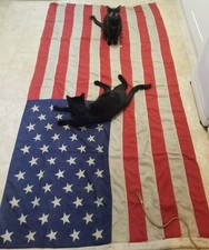 Vintage Large 50 Star American  Flag 47" X 94" by Benjamin Edginton (Sidcup) Ltd