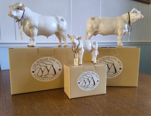 Border fine arts - , charolais