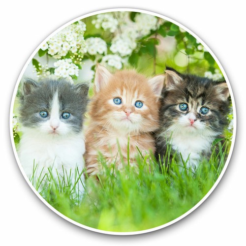 Vinyl stickers 30cm - stickers,