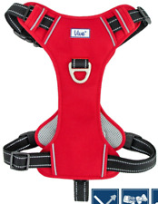 Dog Travel Harness - Viva Red. Use In Car/Walks. Adjustable, Reflective, Padded.