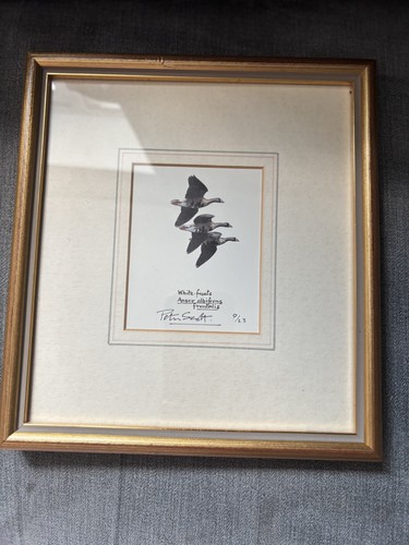 Peter scott signed - scott, limited