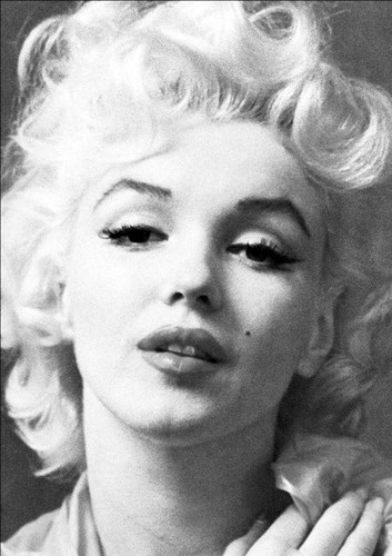 Marilyn monroe monochrome - marilyn,