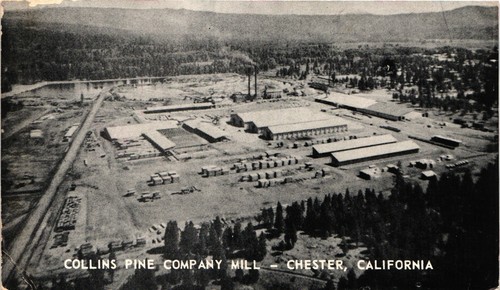 Colins pine company mill - pine,