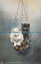 R108642 A Study in Black and