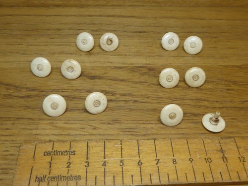Antique georgian bovine bone - antique,
