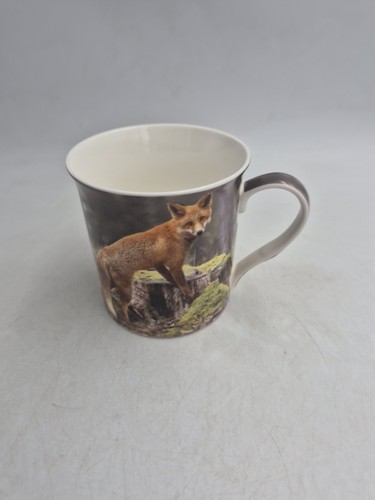 Leonardo collection wildlife - collection,