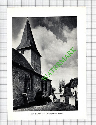 Bosham church sussex 1956 - church,