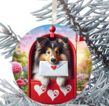 Rough Collie Sheltie Dog