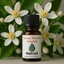 Natroil’s French Orange