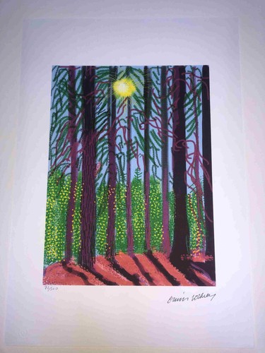 David hockney lithography - david, off