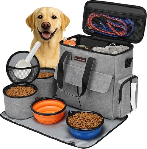 New airline approved pet - approved,