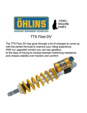 DMX 0222 OHLINS TTX FLOW DV