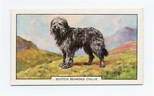 BEARDED COLLIE GALLAHER 1938 DOGS 2nd SERIES  DOG CIGARETTE CARD #48