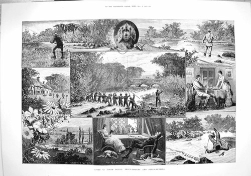 Old antique print 1883 sport - antique,