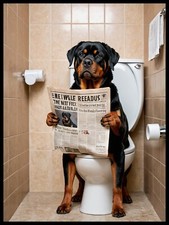 Funny  Cute Rottweiler Dog