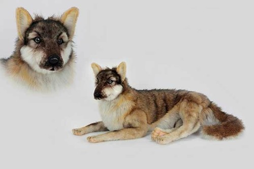 Hansa wolf lying - ,