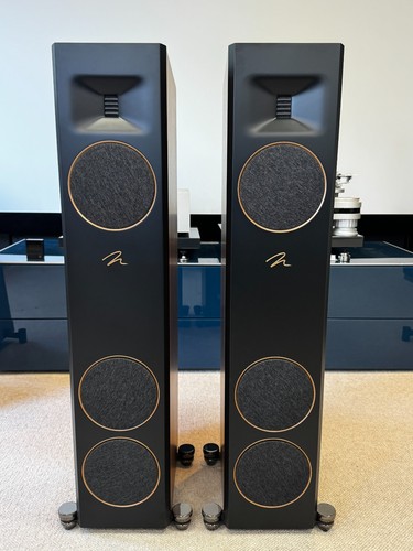 Martin logan motion f10 - motion,