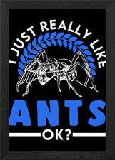 Ants Ant Farm Anthill Fire