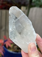 Lemurian Seed Clear Quartz