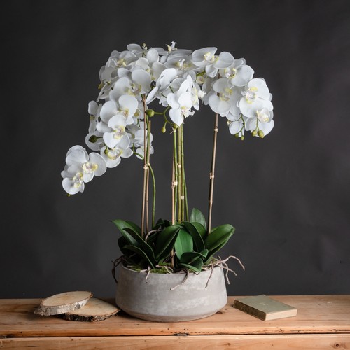 Large white orchid stone - large,