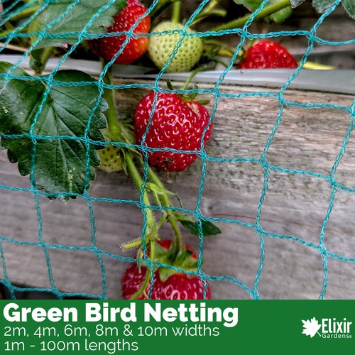 Anti bird netting fruit - anti,