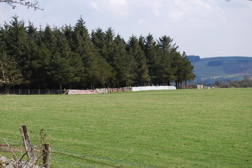 Photo 6x4 sheep handling - 6x4, pens