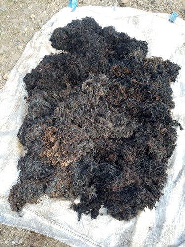 Black wensleydale lambs wool - wensleydale,