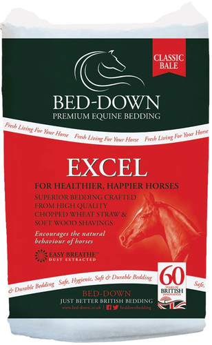 Bed down excel - bed, horse