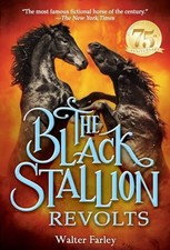 The Black Stallion RE: v.ts