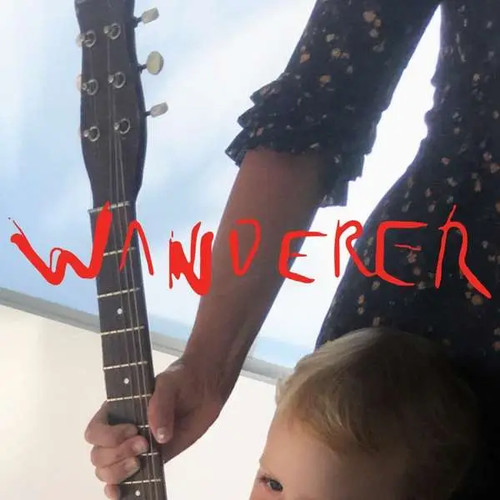 Cat power wanderer poster new - wanderer,