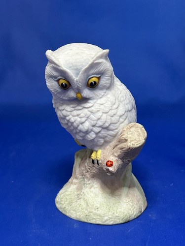 Aynsley baby owl vintage - baby,
