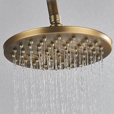 Antique Brass 8 inch Shower